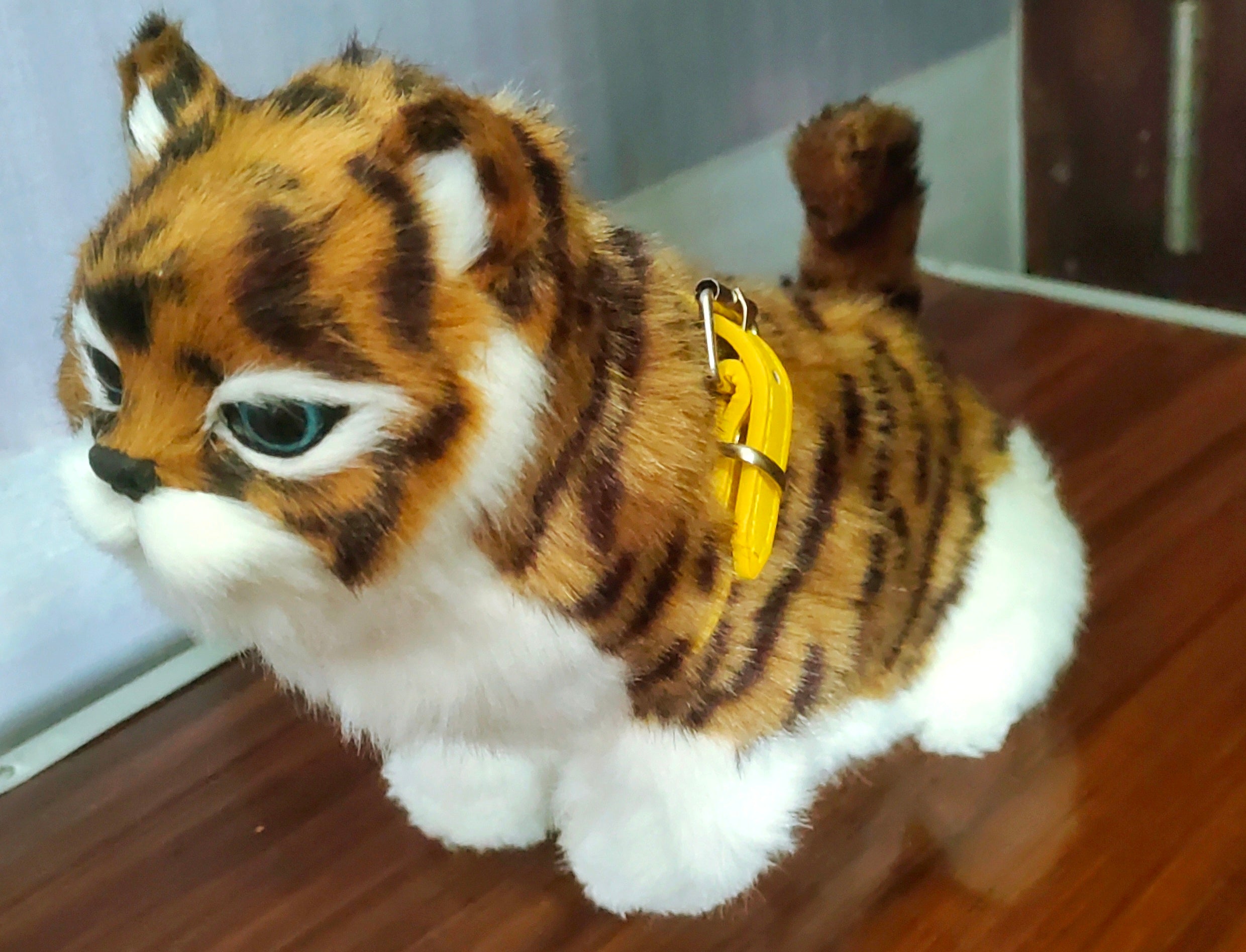 ELECTRIC CAT