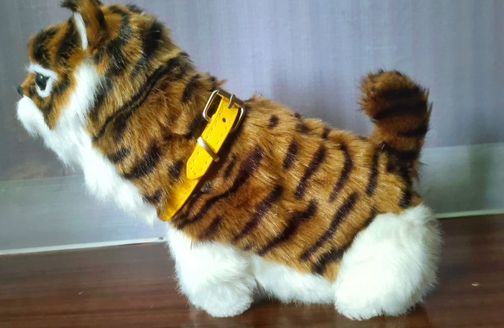 ELECTRIC CAT