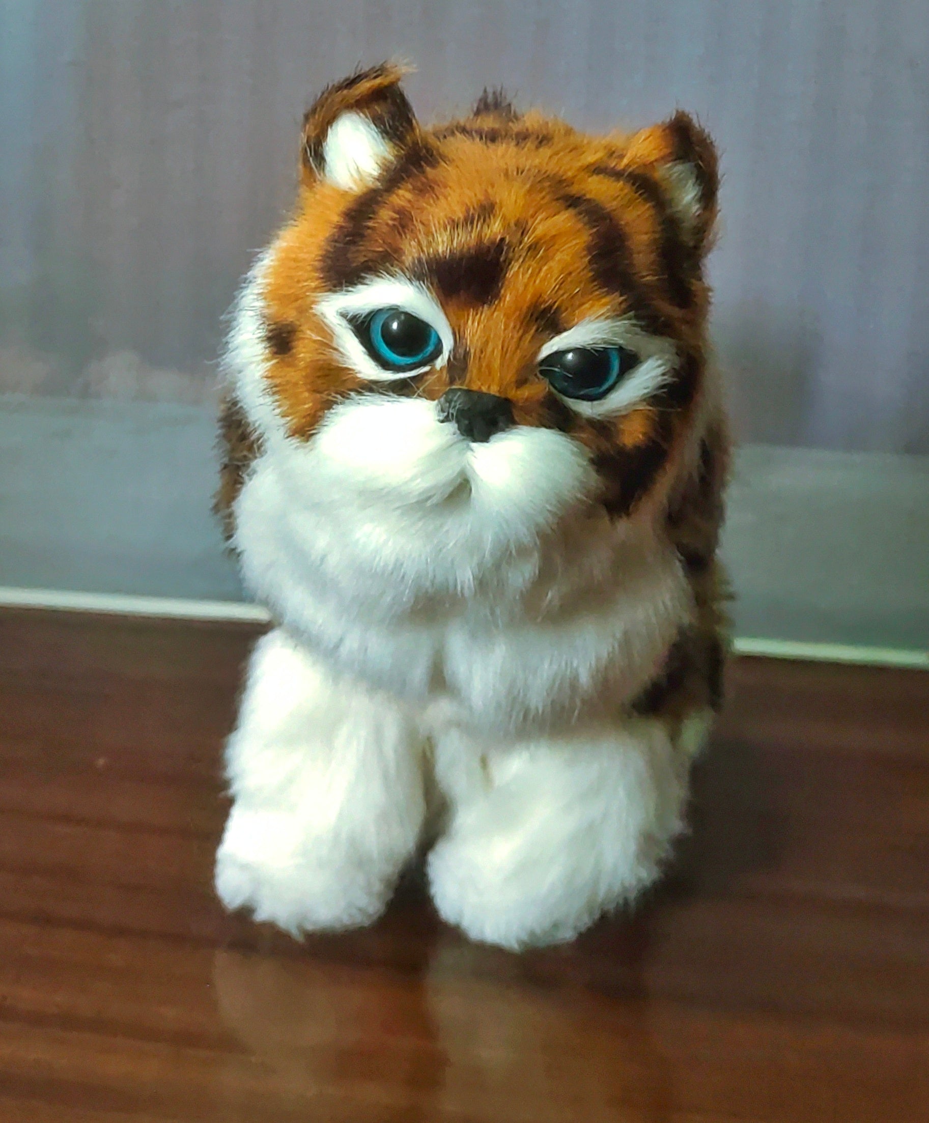 ELECTRIC CAT